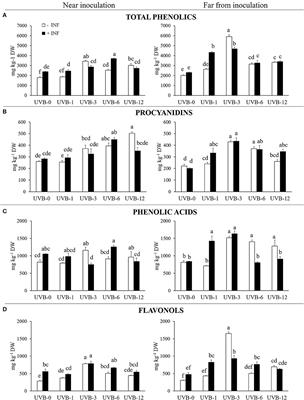 UV-B Pre-treatment Alters Phenolics Response to Monilinia fructicola Infection in a Structure-Dependent Way in Peach Skin